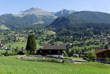 Village in the beautiful landscape of Alps near Grindelwald