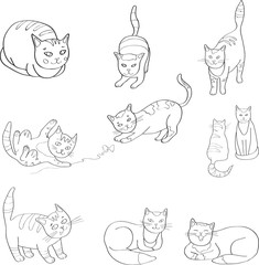 Illustration Set with the image of cats. black and white, line. Vector