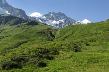 Jungfrau alps mountain in Jungfrau region of Switzerland