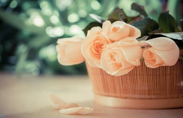 Romantic rose vintage style