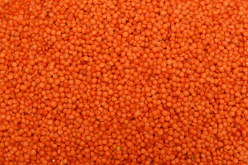 red lentil seeds texture