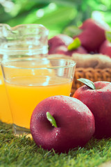 Apple cider vinegar