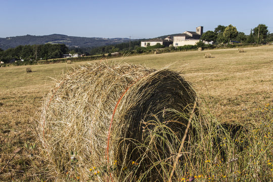 fardo de paja en un campo de cereales
