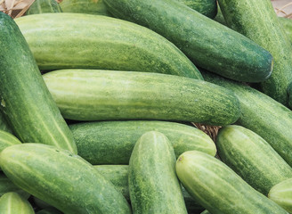 Group of fresh cucumbers background