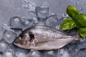 Raw delicious fresh fish on ice