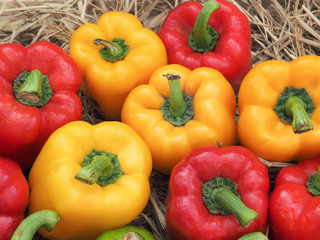 Group of sweet peppers/ Close up image