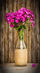 bouquet of phlox in a glass vase on a background of old barn boards. toned photo with vignette. selective focus