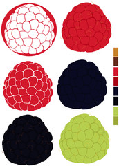 Collection with raspberries and blackberries with palette of used colors