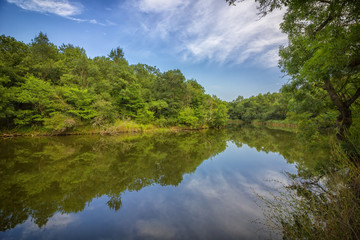Sunny day on a calm river 