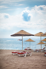 Beach chairs and umbrellas at the beach
