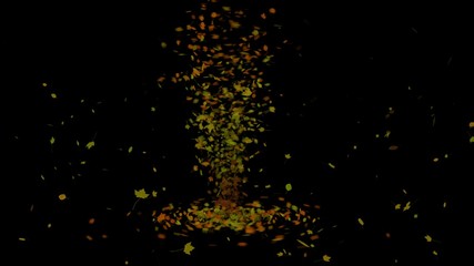 Colorful Autumn Leaves Are Falling And Swirl