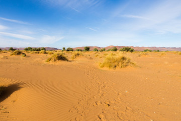 Fototapeta na wymiar Sahara desert, Morocco