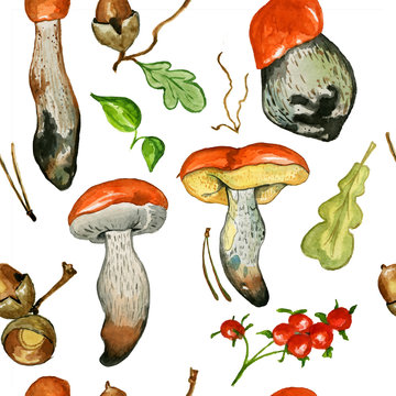Seamless pattern with wild mushrooms. Hand drawn watercolor painting isolated over white background. Food Clipart illustration. boletus. porcini