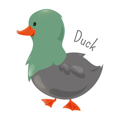 Duck isolated. Sticker for kids. Child fun icon.