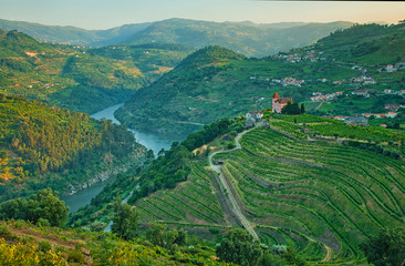 Vineyard hills in the river Douro valley, Portugal
