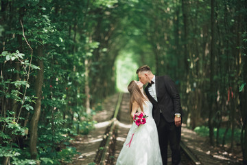 Romantic newlywed couple kissing in pine tree forest