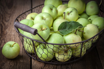 Green apples in a metal basket.