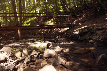 Pylypets River near the Shypit Waterfall (Ukraine 2016)