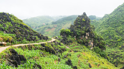 Remote path in Vietnamese countryside leading to a minority village in North Vientam