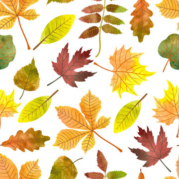 Watercolor autumn leaves seamless pattern. Vector colorful fall background with maple, chestnut, rowan, poplar leaves. 