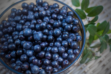 bilberry in a bowl on background of a white rattan