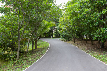 Bike lane in public green garden