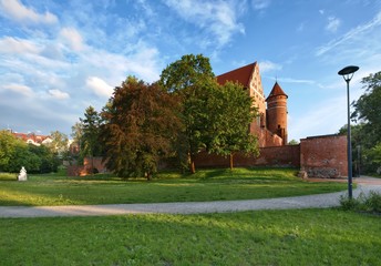 Fototapeta premium Castle in Olsztyn