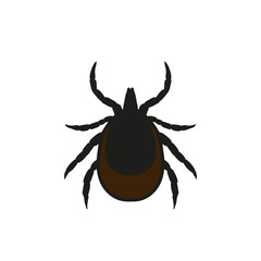 Vector illustration of  ticks. Mite warning sign.