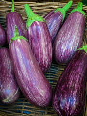 Group of Ripe Aubergines for Sale
