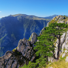 Fototapeta premium Wonderful view to mountains in the national park Durmitor. Montenegro Balkans Europe. Beauty world. Autumn Landscape in a blue sky