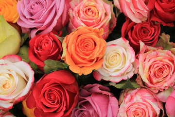 Multicolored wedding roses