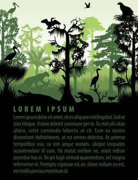 vector rainforest wetland silhouettes in sunset design template