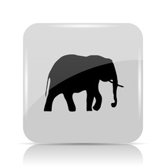 Elephant icon
