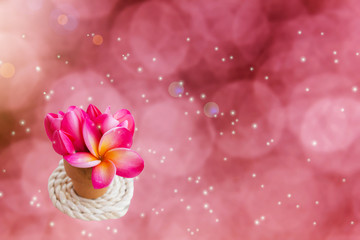 Romantic pink flowers in small vase on dreamy  background