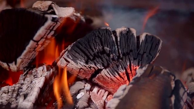 Hot fire wood