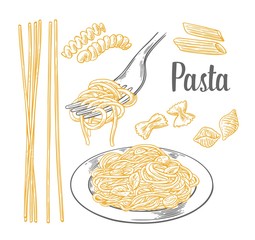 Set pasta - farfalle, conchiglie, penne, fusilli and spaghetti on fork. - obrazy, fototapety, plakaty