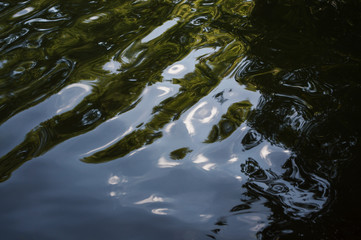 the texture of the water surface