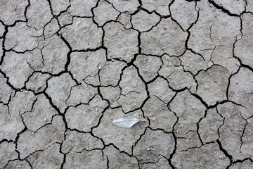 The Dry cracked ground surface for background.