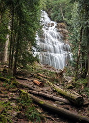 Bridal Waterfalls. Highest waterfall mountain forest trees felled deadwood