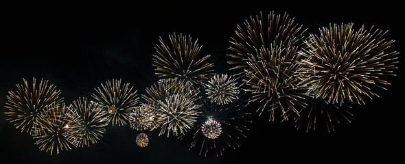 Colorful holiday fireworks on the black sky background.