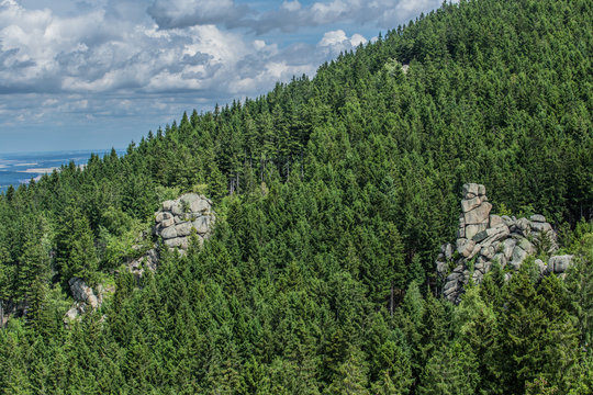 Mooswand und Zieten Klippe im Harzer Fichtenwald Ausblick Feigenbaumklippe