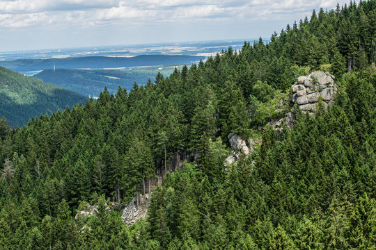 Zieten Klippe im Harzer Fichtenwald