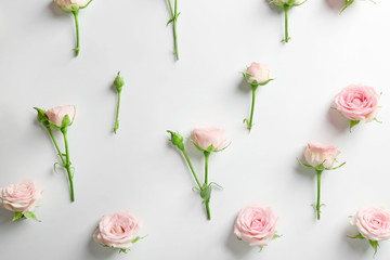 Obraz na płótnie Canvas Fresh roses on white background