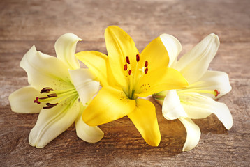 Beautiful lilies on wooden background