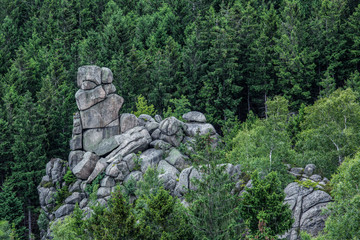 Fototapeta na wymiar Mooswand Klippe Harz