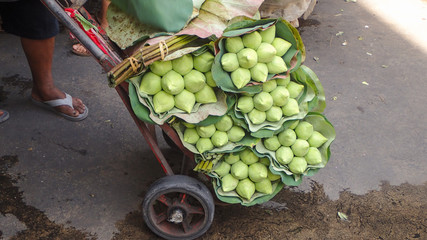 Group of green lotus on the cart