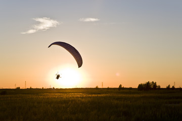 Paraglider