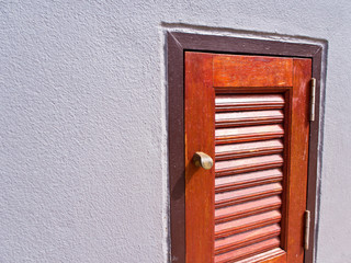 Door of drain pipe shaft