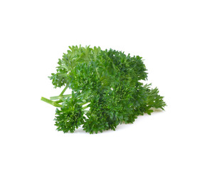 parsley on white background