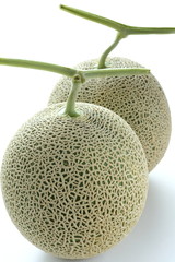 メロン